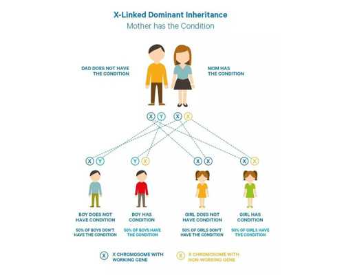 供卵哪里优惠~41天hcg值和孕酮值是多少