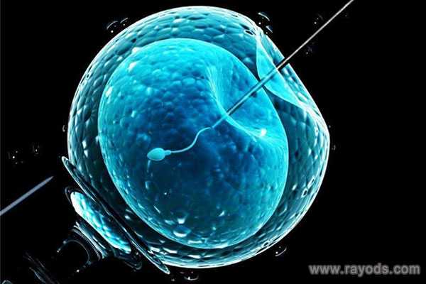 文山供卵代怀机构_试管婴儿可以做性别鉴定吗新鲜胚胎做囊胚成功率高