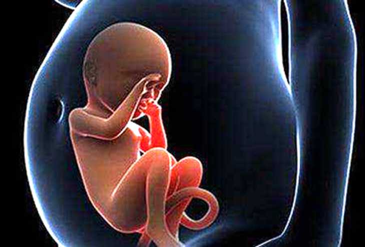 呼伦贝尔代怀生子网_美国试管婴儿助多发性子宫肌瘤女性赢好孕人生