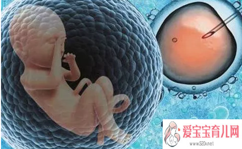 衢州代怀公司多吗_胚胎冷冻对宝宝有影响试管婴儿冷冻胚胎有什么好处