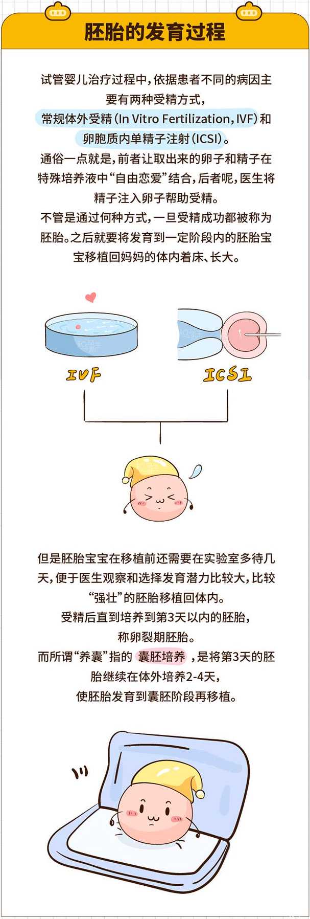 钦州求子代怀网_(客户分享)想要泰国试管养囊胚成功率高？好孕妈妈吃、住经验
