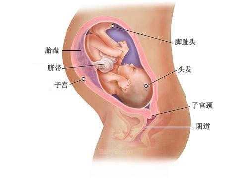杭州卵子代孕价格 2022杭州邵逸夫医院供精试管成功率： ‘二胎怀男孩3个月特