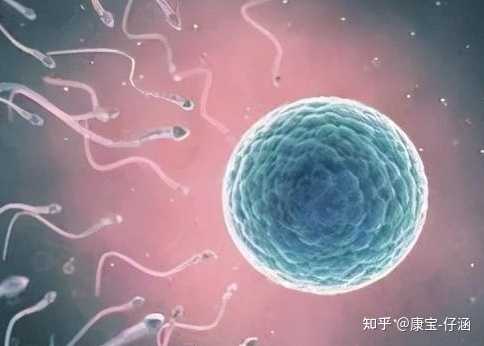武汉试管包生男孩的小广告可信吗？,2023武汉协和医院有卵子库吗?