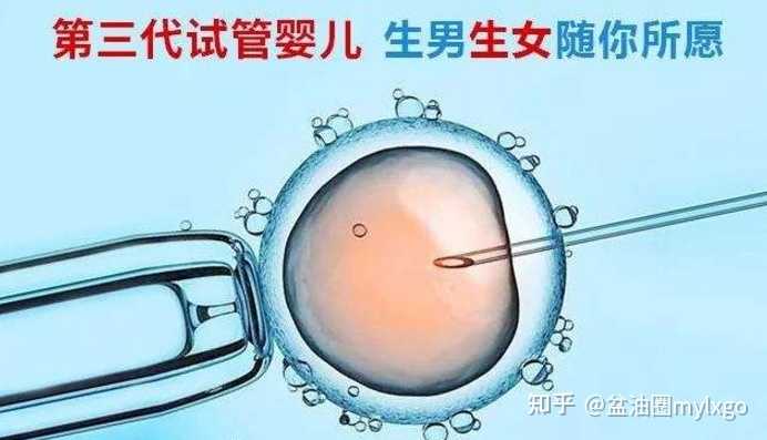武汉朝阳医院取卵后多久短信通知胚胎停止培育？